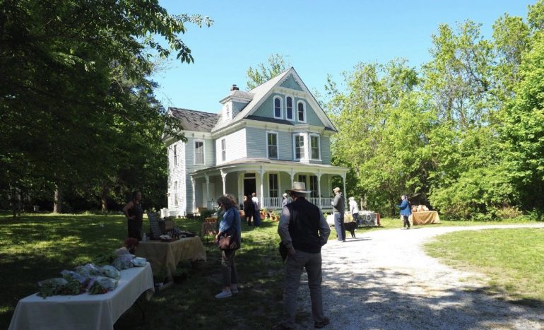 The new Toano Open Air Market is providing a place for local agricultural vendors to sell their products in a socially distant setting. (WYDaily/Courtesy Maureen Anderson)