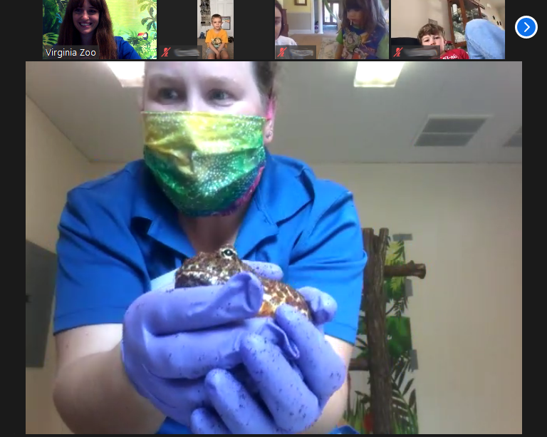 (WYDaily/Courtesy of Virginia Zoo)