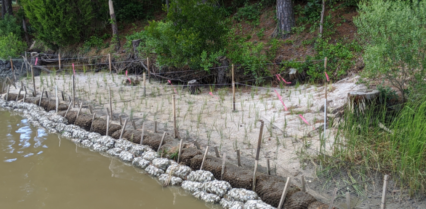 (WYDaily/Courtesy of the James River Association)