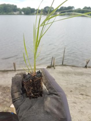 (WYDaily/Courtesy of the James River Association)