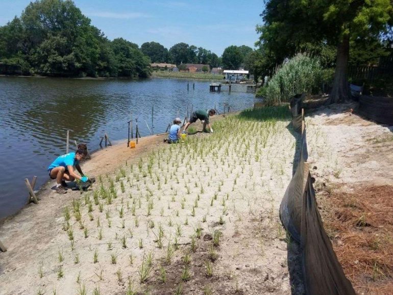 (WYDaily/Courtesy of the James River Association)