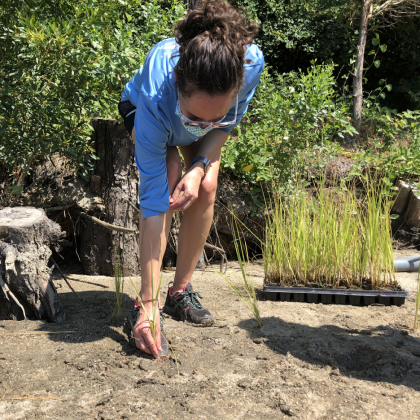 (WYDaily/Courtesy of the James River Association)