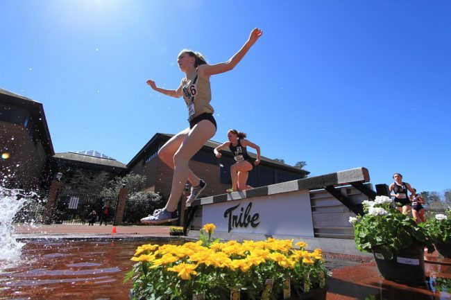 David Hildebrand, a College of William & Mary alum and former Tribe swimmer, wrote a proposal regarding the future of the athletics department. (WYDaily/ Courtesy of Tribe Athletics)