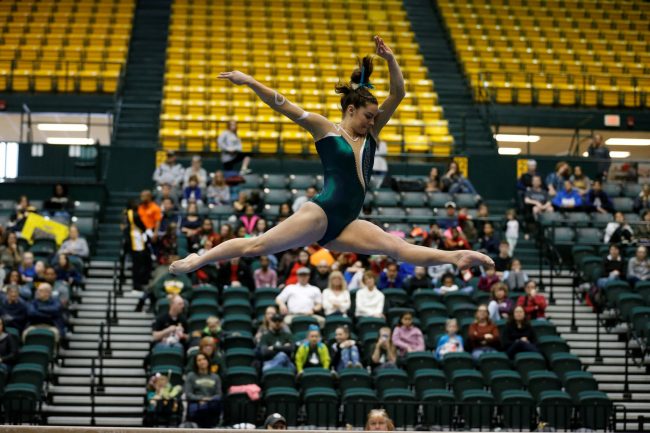 At the Faculty Assembly meeting on Tuesday, the motions presented in response to the College of William & Mary's decision to cut seven sports teams, were tabled until the following week. (WYDaily/ Courtesy of Tribe Athletics)