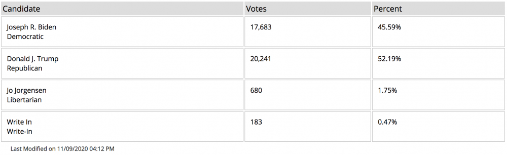 Screenshot of the President and Vice President election results for York County. (WYDaily/ Courtesy of the Virginia Department of Elections’ website)