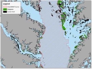 Shallow waters and concerns regarding damage to nets and bottom habitats prevent trawl survey scientists from sampling most of the oyster reefs and seagrass beds within Bay tributaries. (Multispecies Research Group/VIMS/WYDaily)