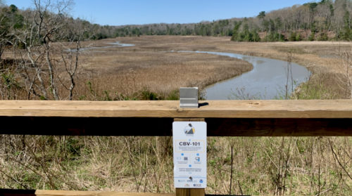 The Chronolog platform features a rigid bracket designed to hold cellphones so that sequential visitors to a particular locality capture a consistent scene through their phone’s camera lens. (WYDaily/Courtesy of Sarah M. Nuss/VIMS)