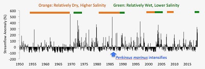 Monthly streamflow anomaly trend for the James River, Virginia, 1950-2018. The mid-1980s intensification of Perkinsus marinus activity has been attributed to increased salinities during multi-year drought in 1980-1982 and 1985-1987 , indicated by extended periods of negative streamflow anomalies. Reduced salinities more unfavorable to P. marinus are associated with periods of high streamflows, indicated by positive anomalies. (R. Carnegie/VIMS/WYDAILY).