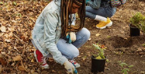 Project partners have long worked with diverse communities and with a commitment to environmental justice. (Courtesey of Elizabeth River Project/Paradise Creek Nature Park/VIMS.)