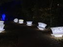 IMG_1105