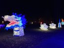 IMG_1108