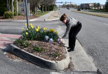 Child Abuse and Child Neglect Awareness Month Brings Pinwheel Gardens Across James City County