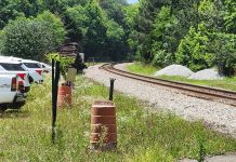 Man struck, killed by train in Williamsburg
