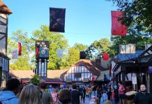 Williamsburg residents among those feeling tourism strain, national survey finds