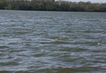 State senators request special session to act on ‘deeply alarming’ groundwater report