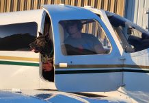 Puppy flies from Williamsburg on journey to new Florida home