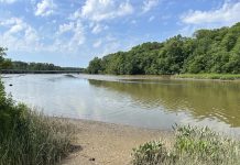 College Landing, Powhatan Creek show persistent bacteria problems