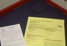 Greater Williamsburg voters turn out early ahead of Nov. 3 election