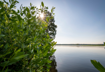 James City County seeks public input on watershed plans
