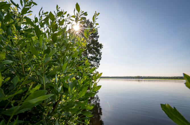 James City County Seeks Input on College Creek and Skiffes Creek Watershed Plans